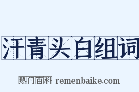 汗青头白组词是什么意思的图片